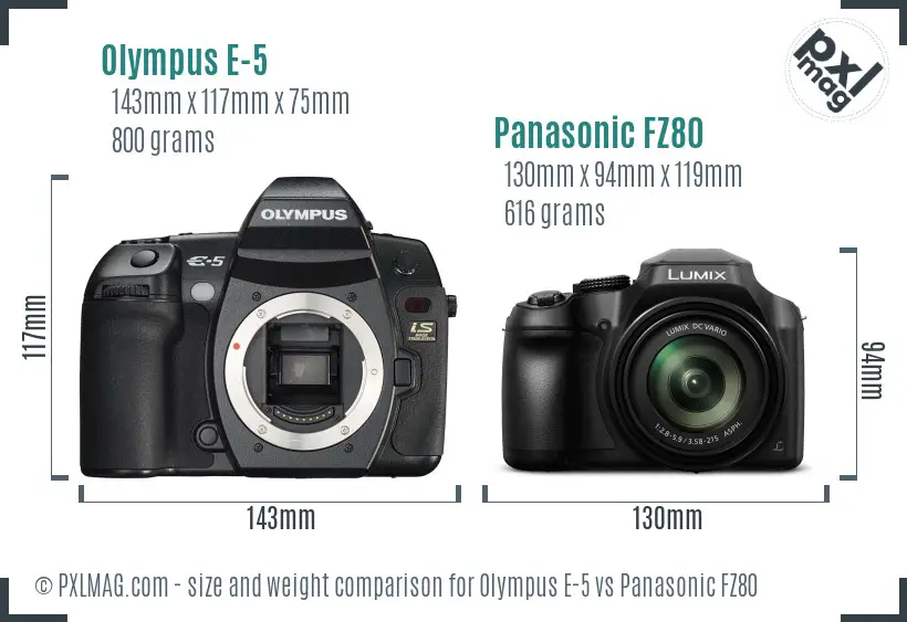 Olympus E-5 vs Panasonic FZ80 size comparison