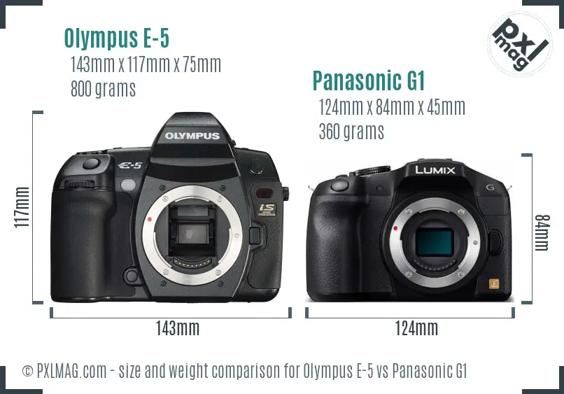 Olympus E-5 vs Panasonic G1 size comparison