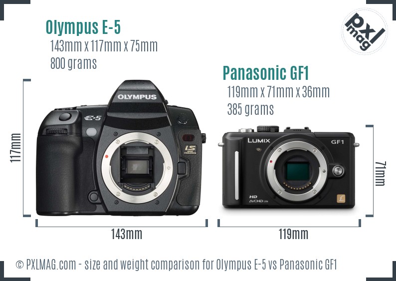 Olympus E-5 vs Panasonic GF1 size comparison