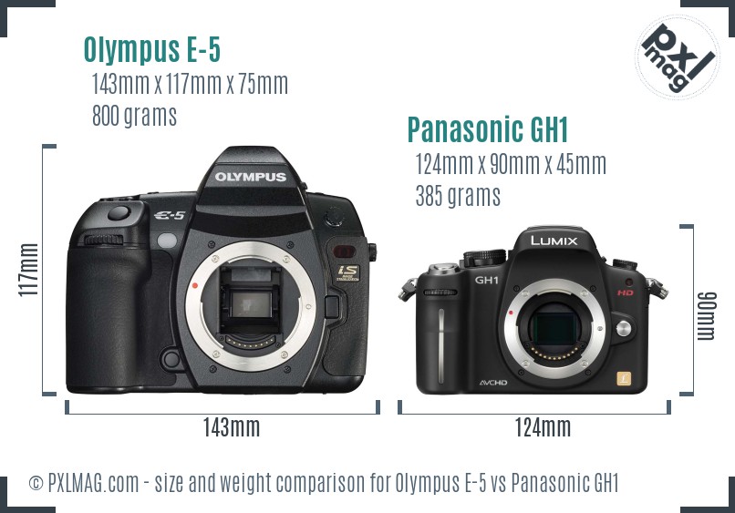 Olympus E-5 vs Panasonic GH1 size comparison