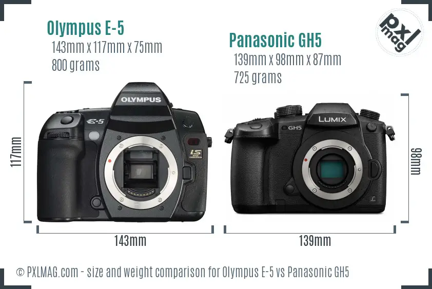 Olympus E-5 vs Panasonic GH5 size comparison