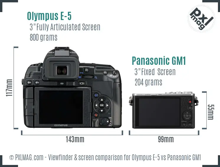 Olympus E-5 vs Panasonic GM1 Screen and Viewfinder comparison