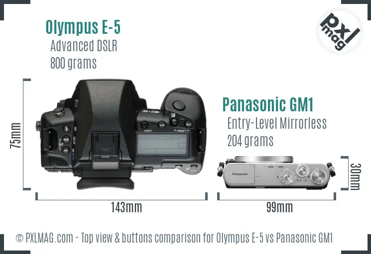 Olympus E-5 vs Panasonic GM1 top view buttons comparison