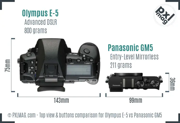 Olympus E-5 vs Panasonic GM5 top view buttons comparison