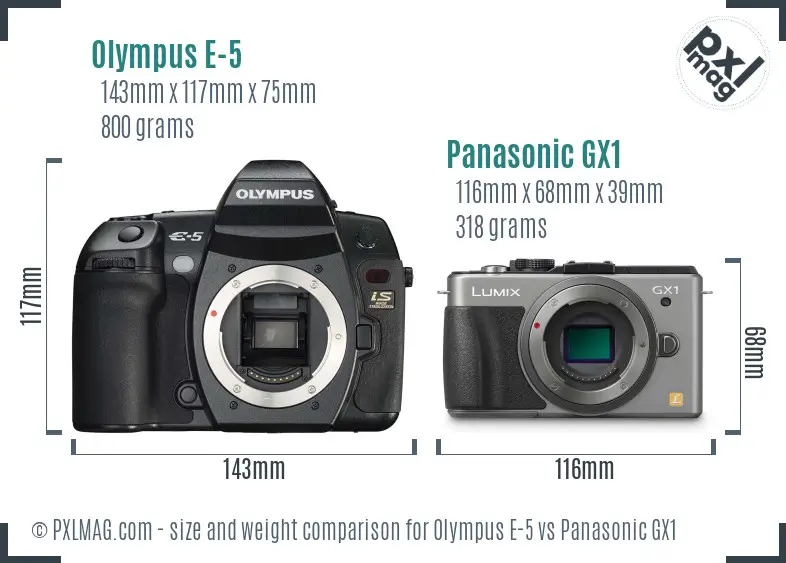 Olympus E-5 vs Panasonic GX1 size comparison