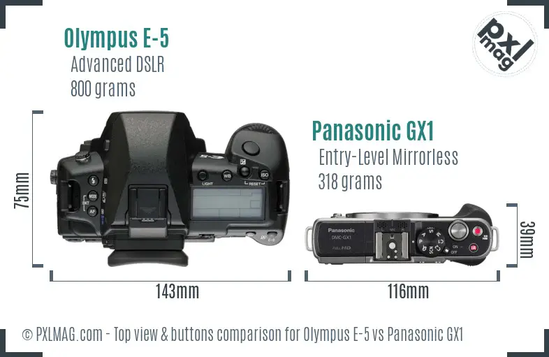 Olympus E-5 vs Panasonic GX1 top view buttons comparison