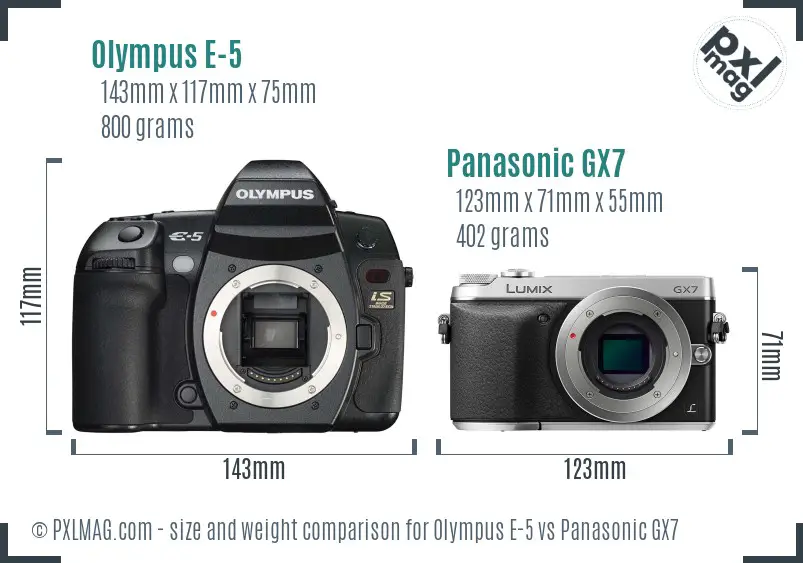 Olympus E-5 vs Panasonic GX7 size comparison