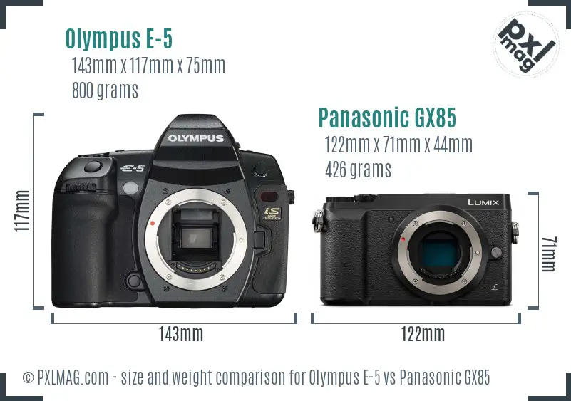 Olympus E-5 vs Panasonic GX85 size comparison