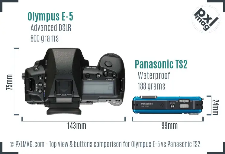 Olympus E-5 vs Panasonic TS2 top view buttons comparison