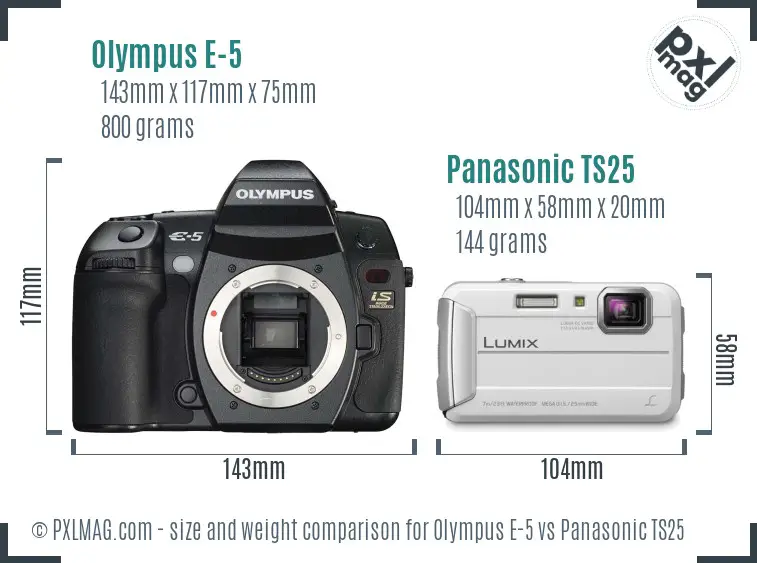 Olympus E-5 vs Panasonic TS25 size comparison