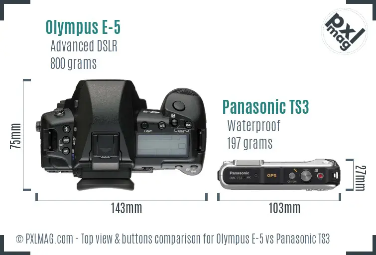 Olympus E-5 vs Panasonic TS3 top view buttons comparison