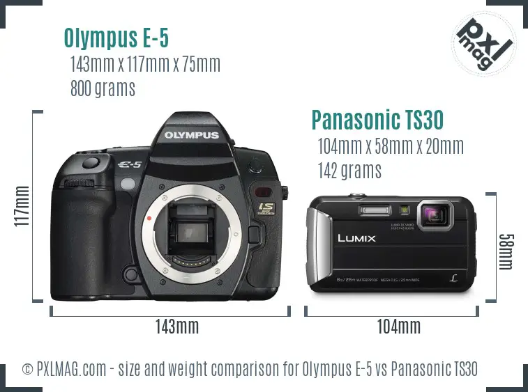 Olympus E-5 vs Panasonic TS30 size comparison