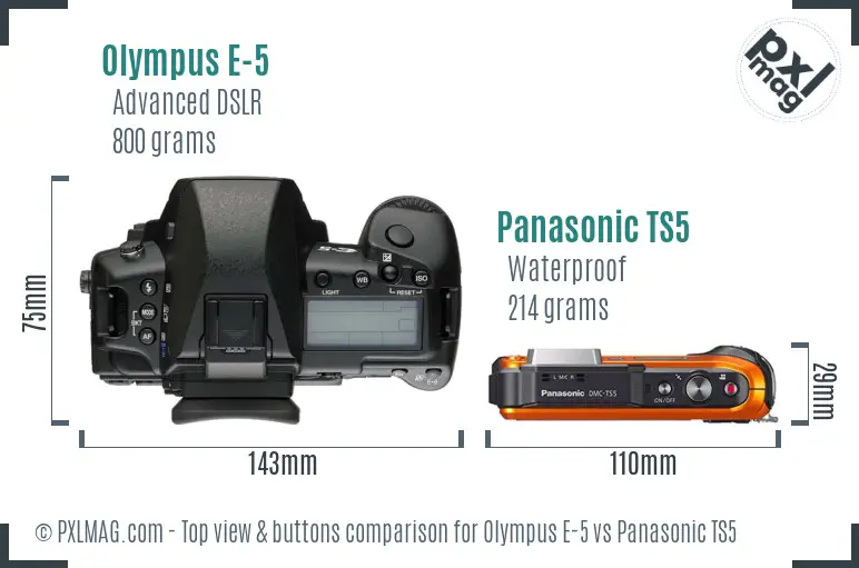 Olympus E-5 vs Panasonic TS5 top view buttons comparison