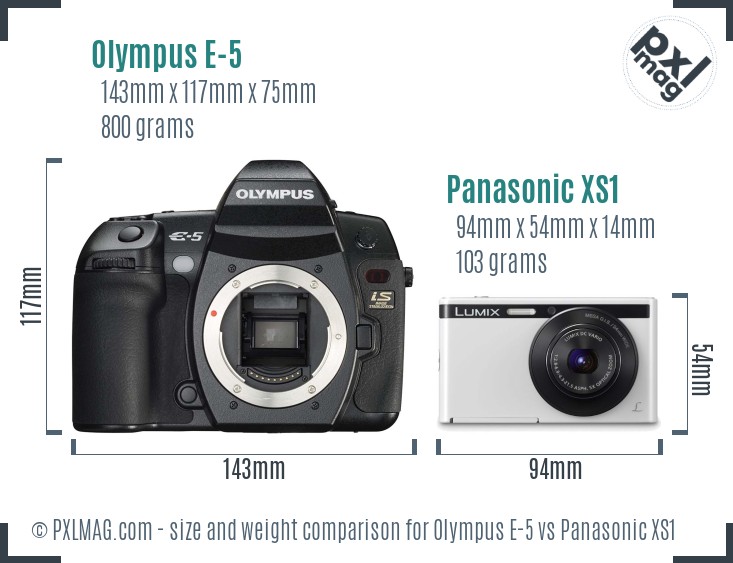Olympus E-5 vs Panasonic XS1 size comparison