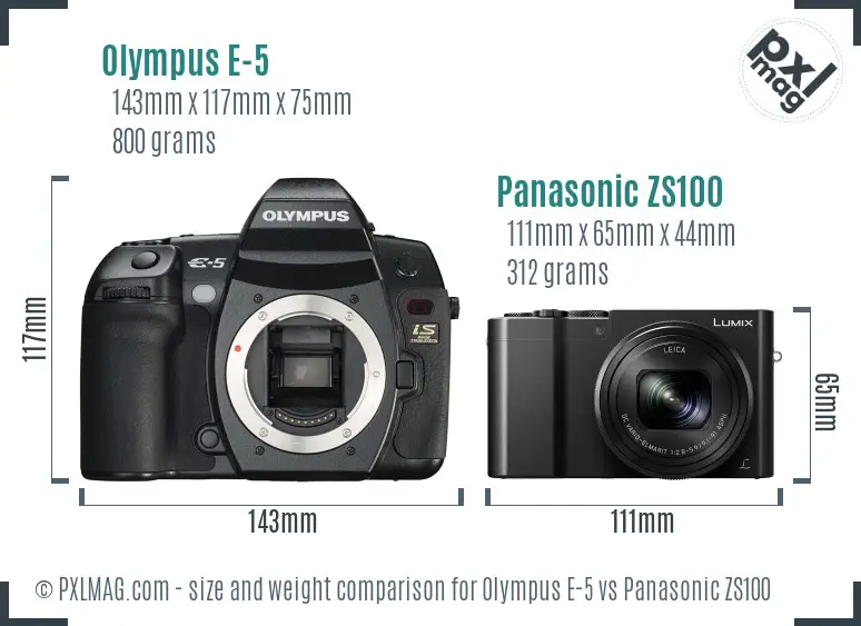 Olympus E-5 vs Panasonic ZS100 size comparison