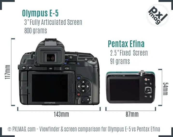 Olympus E-5 vs Pentax Efina Screen and Viewfinder comparison