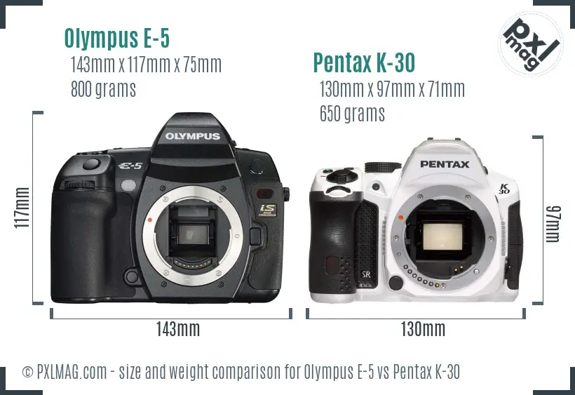 Olympus E-5 vs Pentax K-30 size comparison