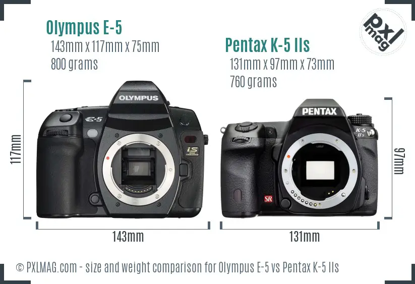 Olympus E-5 vs Pentax K-5 IIs size comparison