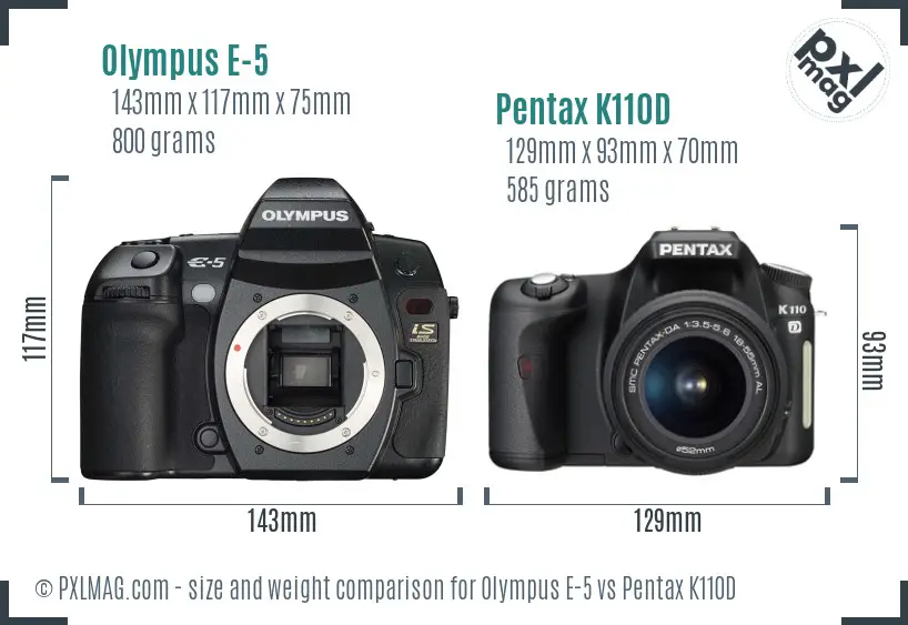Olympus E-5 vs Pentax K110D size comparison