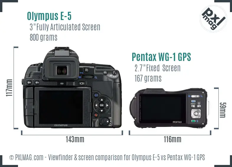 Olympus E-5 vs Pentax WG-1 GPS Screen and Viewfinder comparison