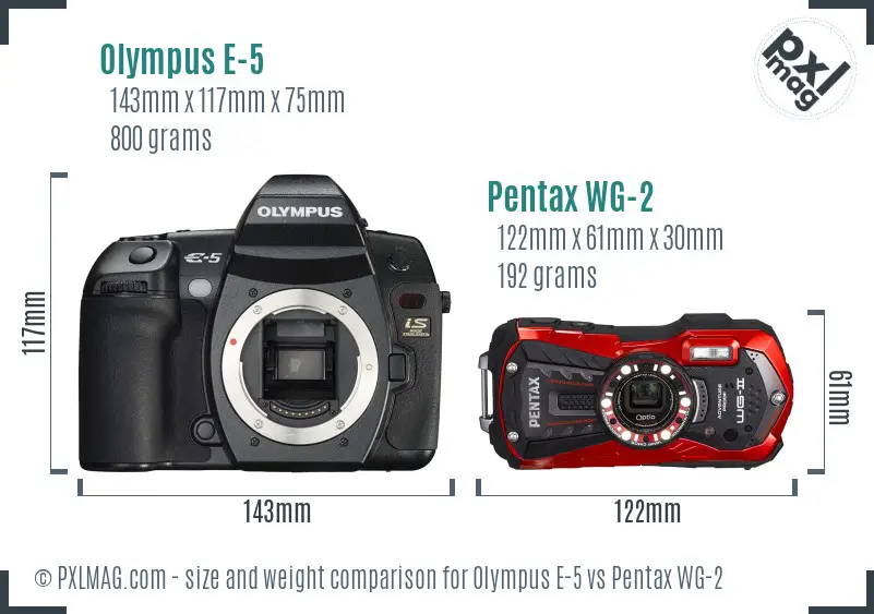 Olympus E-5 vs Pentax WG-2 size comparison