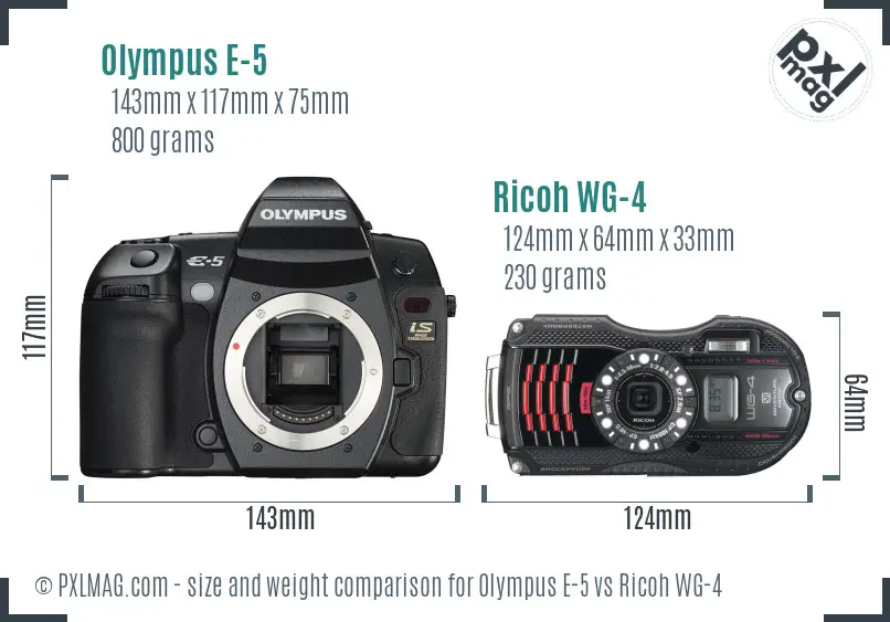 Olympus E-5 vs Ricoh WG-4 size comparison Olympus E-5 vs Ricoh WG-4 size comparison