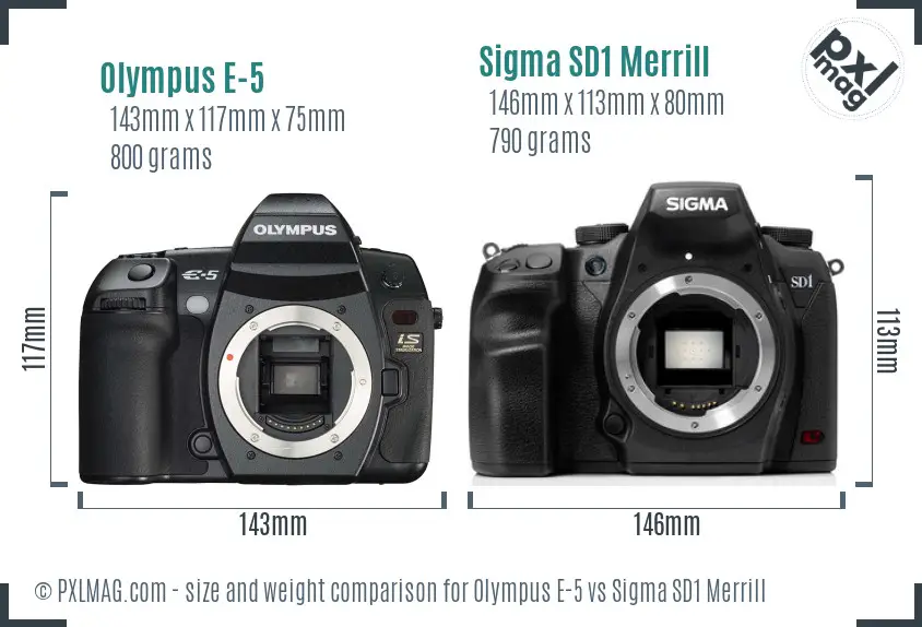 Olympus E-5 vs Sigma SD1 Merrill size comparison