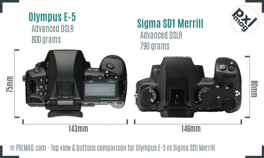 Olympus E-5 vs Sigma SD1 Merrill top view buttons comparison