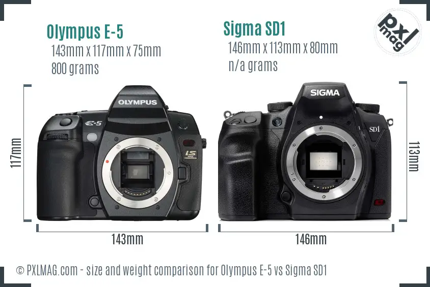 Olympus E-5 vs Sigma SD1 size comparison