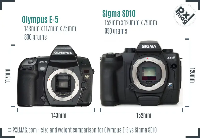 Olympus E-5 vs Sigma SD10 size comparison