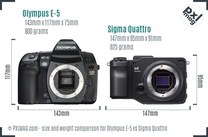 Olympus E-5 vs Sigma Quattro size comparison Olympus E-5 vs Sigma Quattro size comparison