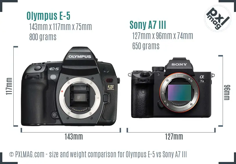 Olympus E-5 vs Sony A7 III size comparison