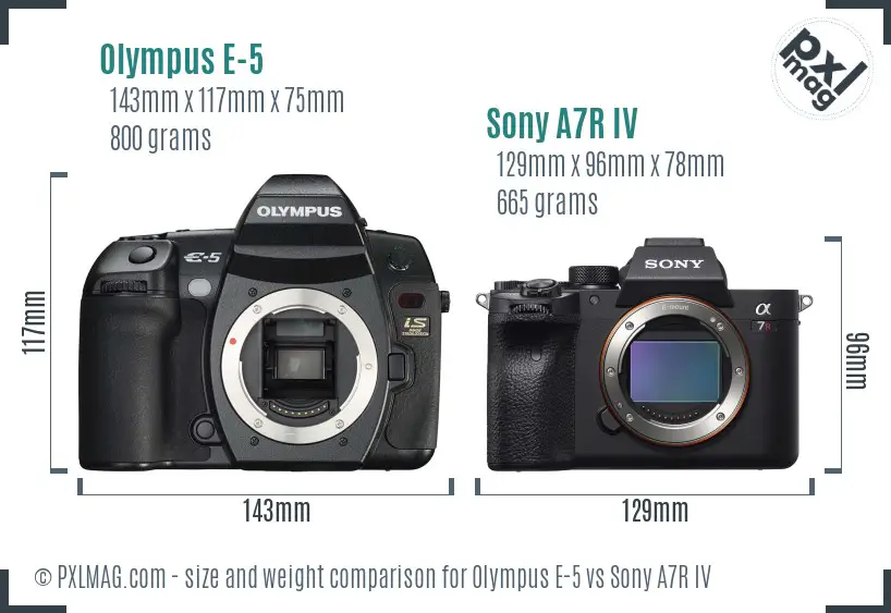 Olympus E-5 vs Sony A7R IV size comparison