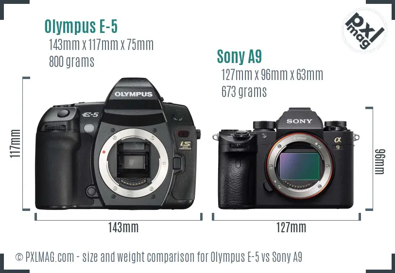 Olympus E-5 vs Sony A9 size comparison