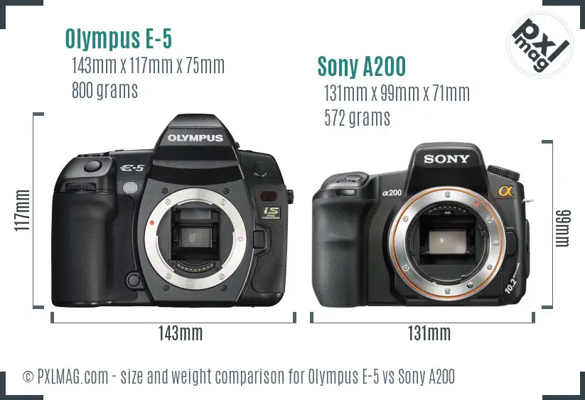 Olympus E-5 vs Sony A200 size comparison