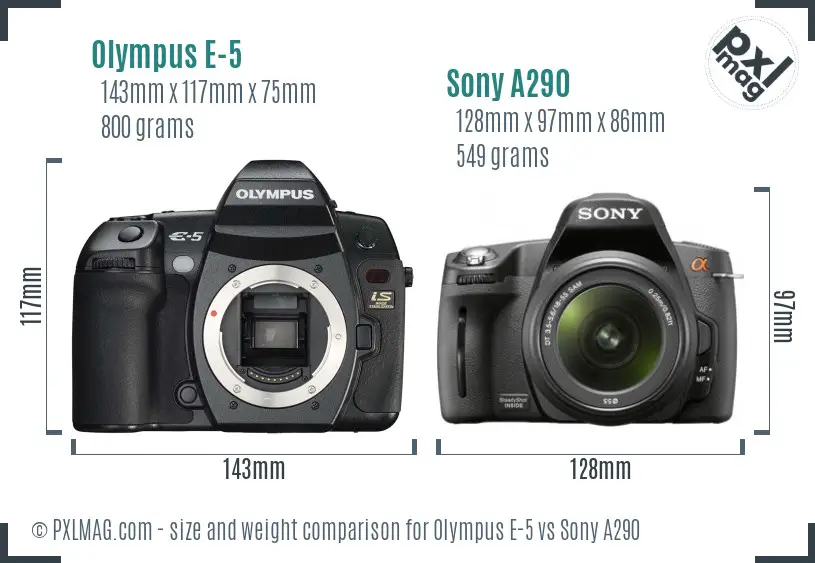 Olympus E-5 vs Sony A290 size comparison