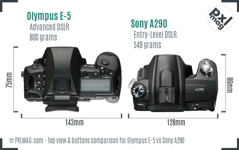 Olympus E-5 vs Sony A290 top view buttons comparison
