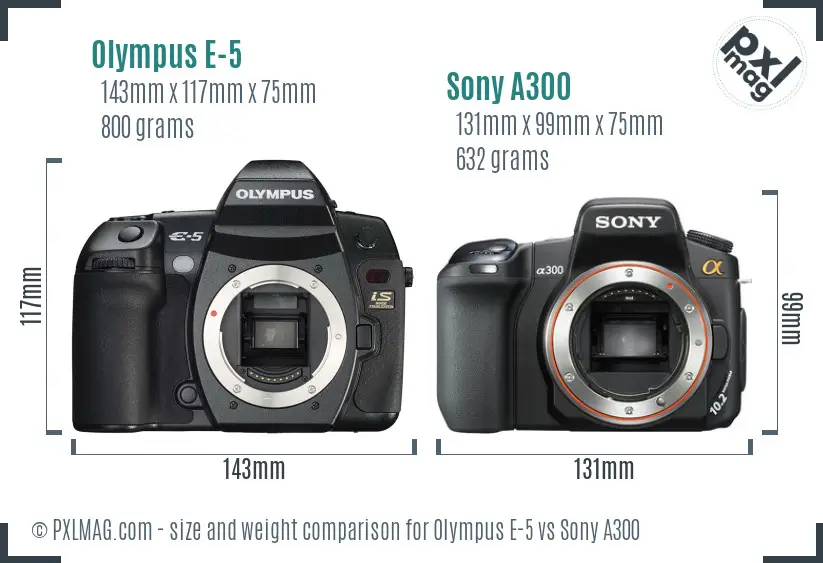 Olympus E-5 vs Sony A300 size comparison