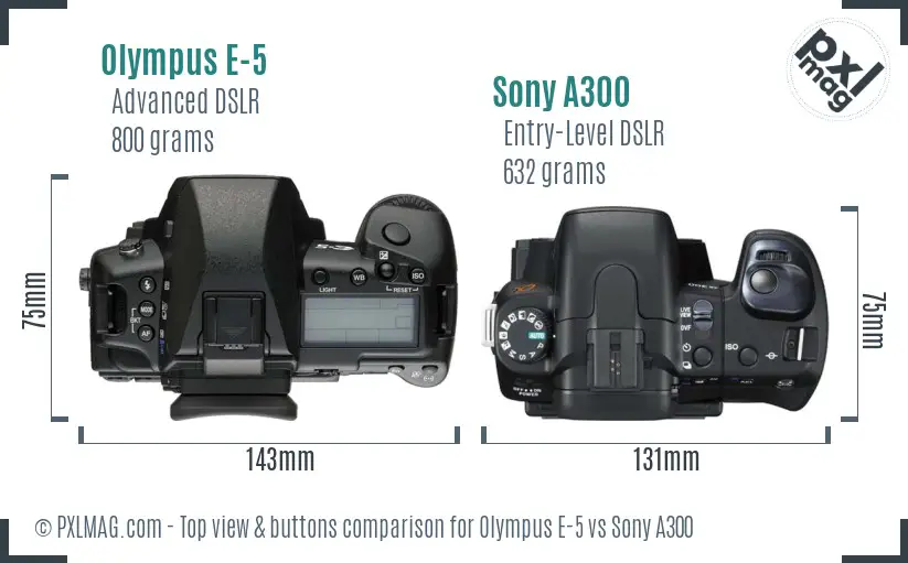 Olympus E-5 vs Sony A300 top view buttons comparison