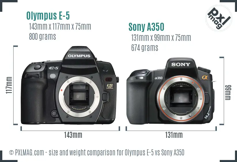 Olympus E-5 vs Sony A350 size comparison