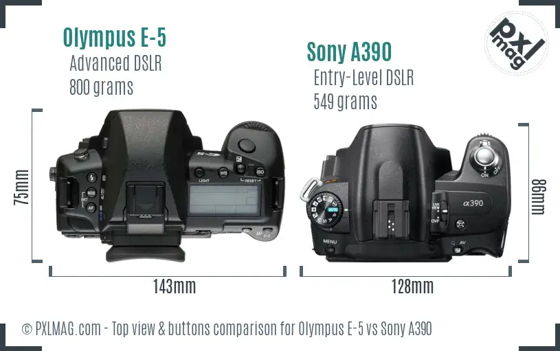 Olympus E-5 vs Sony A390 top view buttons comparison