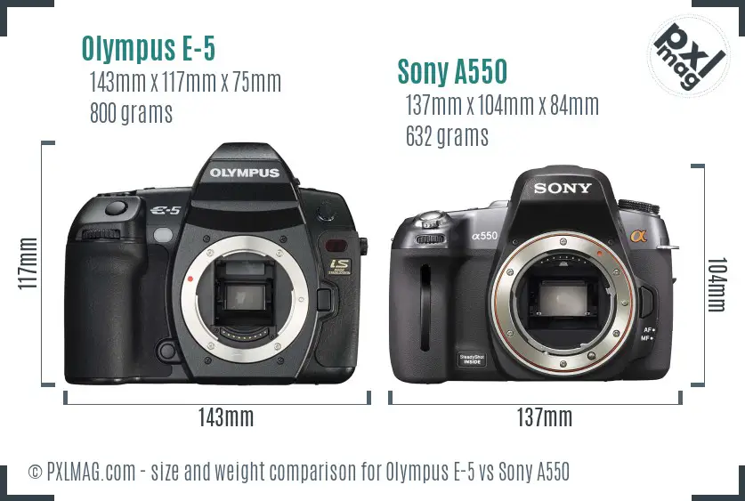 Olympus E-5 vs Sony A550 size comparison