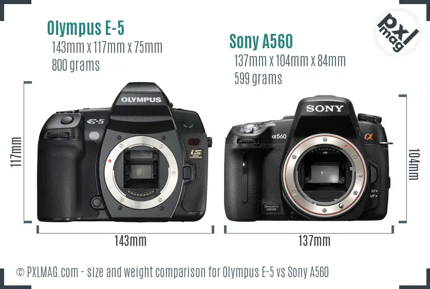 Olympus E-5 vs Sony A560 size comparison