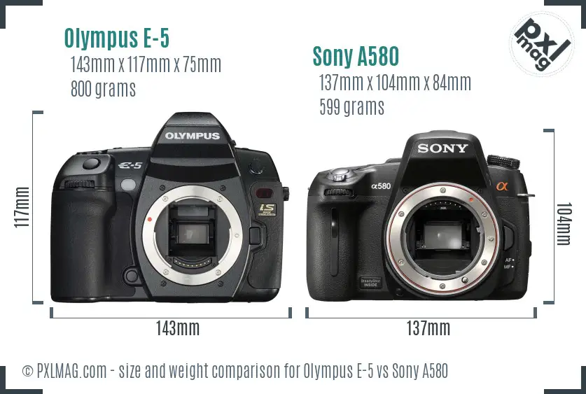 Olympus E-5 vs Sony A580 size comparison