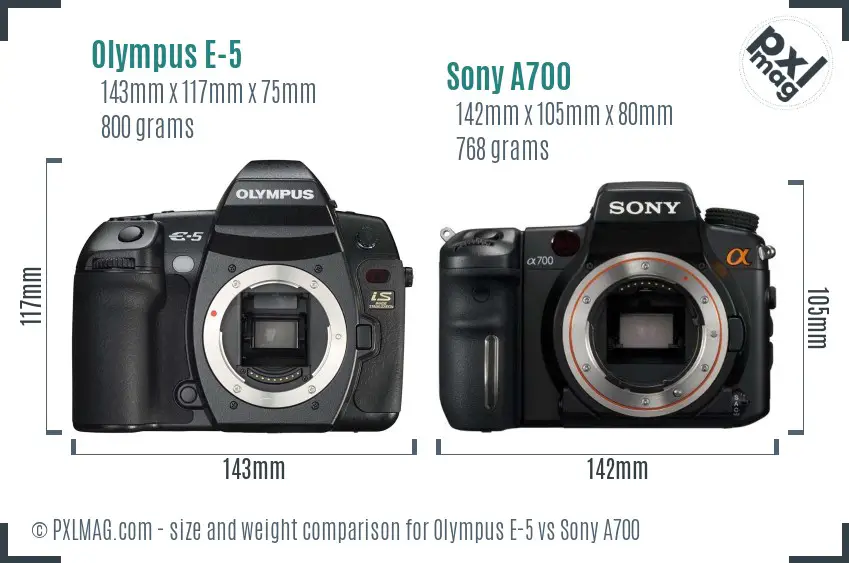 Olympus E-5 vs Sony A700 size comparison