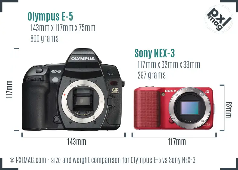 Olympus E-5 vs Sony NEX-3 size comparison