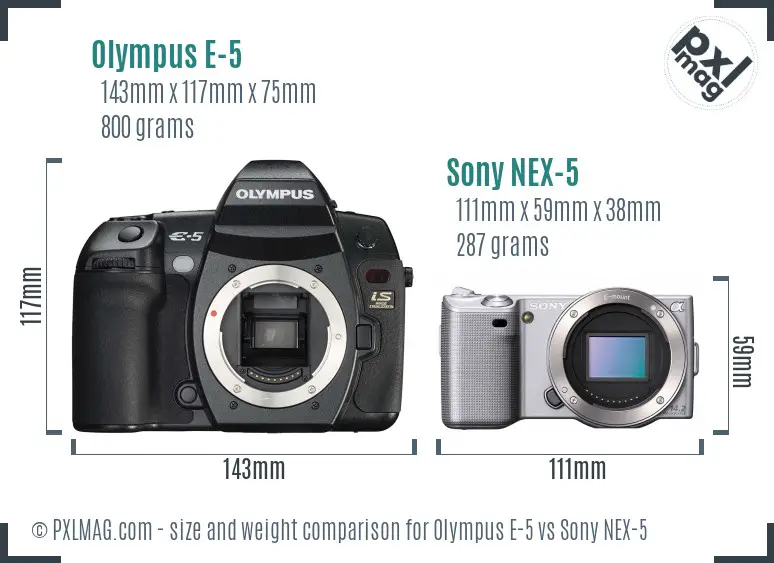 Olympus E-5 vs Sony NEX-5 size comparison