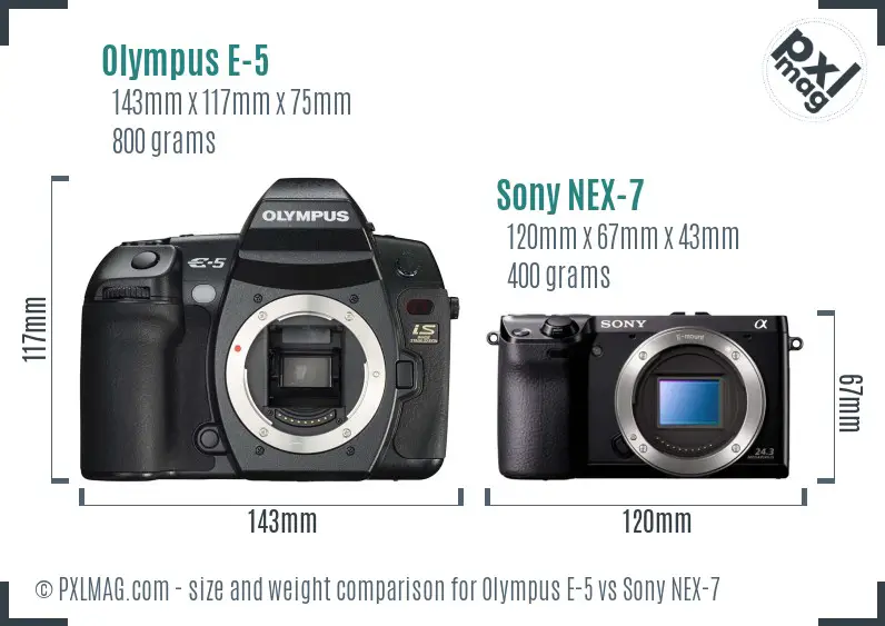 Olympus E-5 vs Sony NEX-7 size comparison