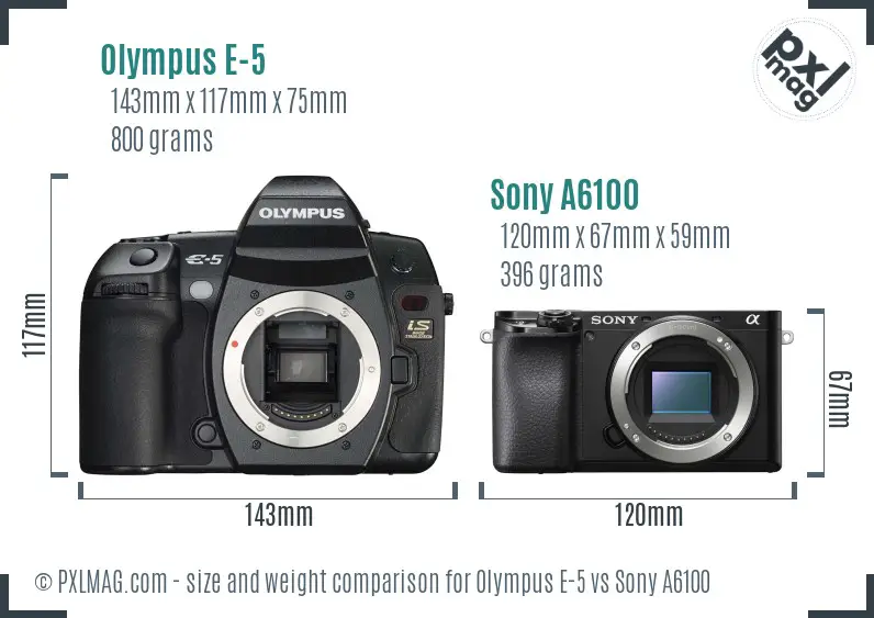 Olympus E-5 vs Sony A6100 size comparison