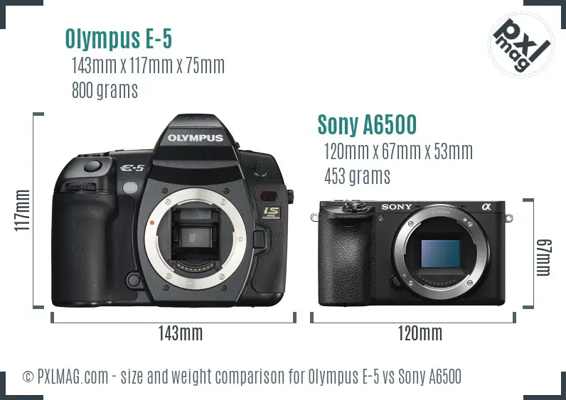 Olympus E-5 vs Sony A6500 size comparison